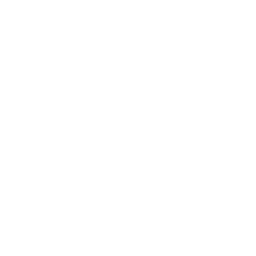 Logo ECPV