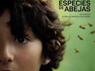 especies abejas