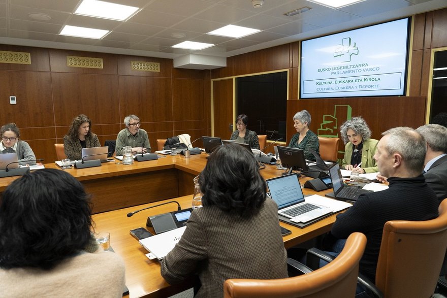 Comparecencia en el Parlamento Vasco